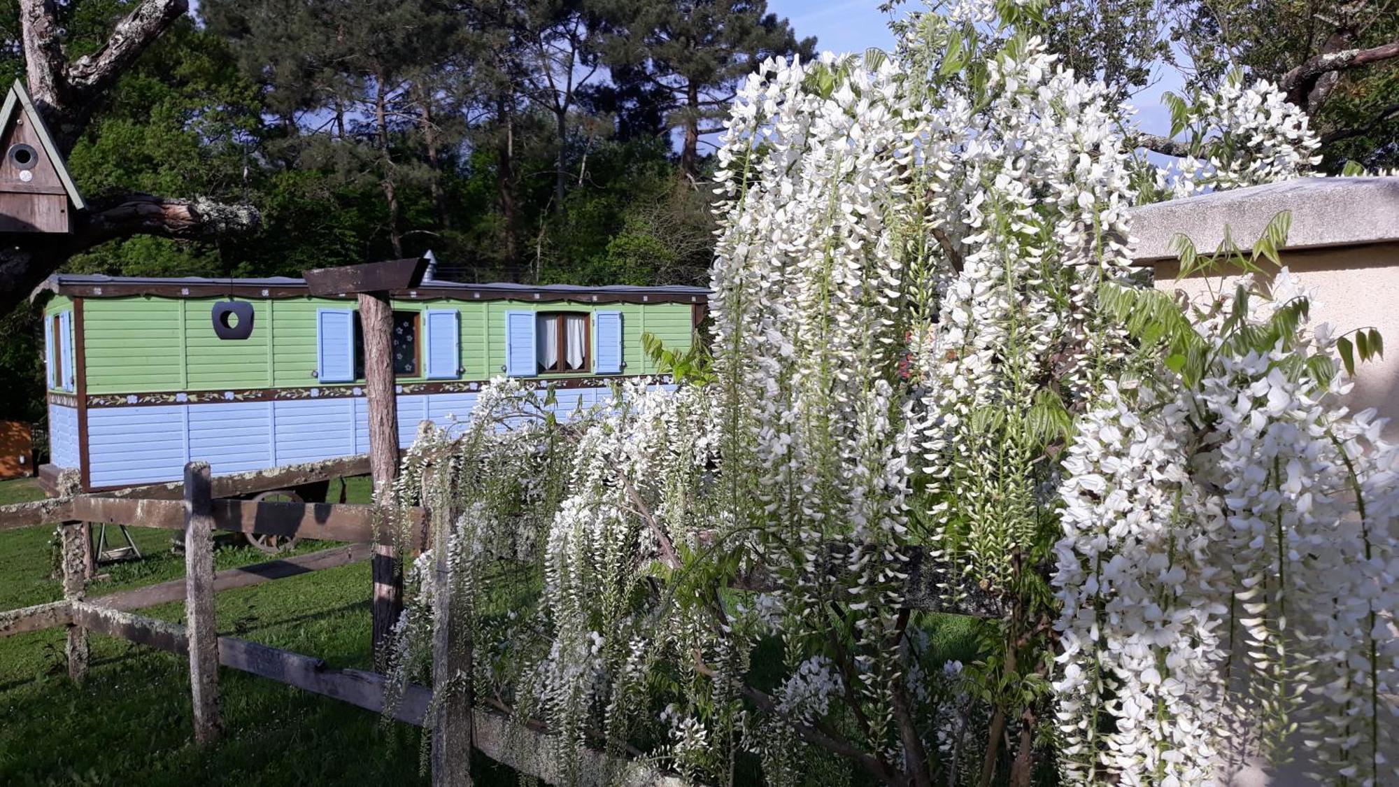 Roulotte Fleur Des Champs Villa Sigalens Dış mekan fotoğraf